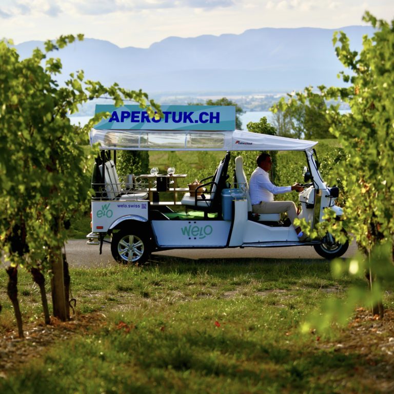 Welo Vignoble